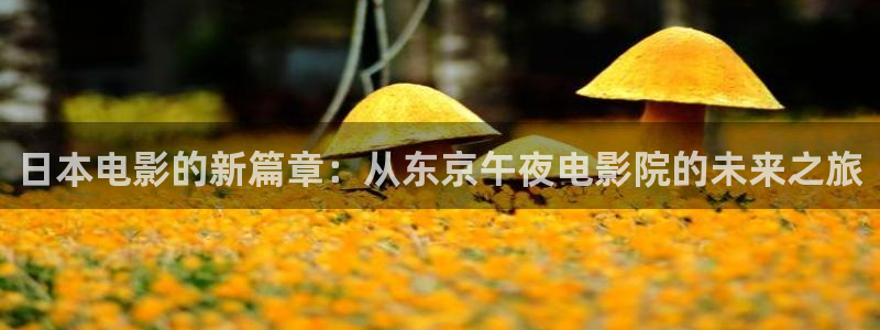 星空影视解说