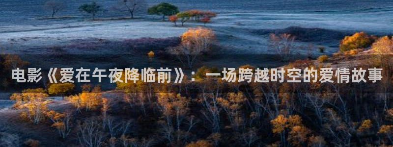 星空影视2026