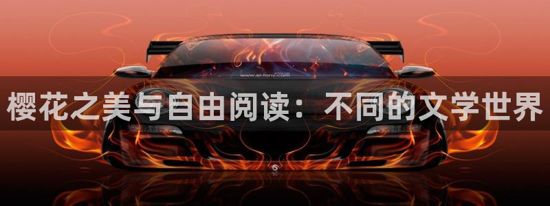星空电影网免费看电影