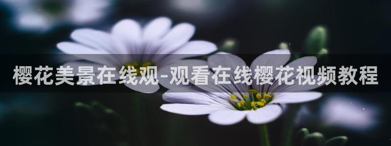 精东影业传媒