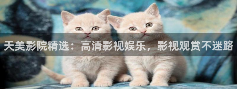 窝窝星空电影网