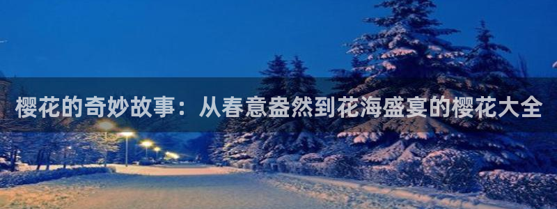 关于星空的歌曲