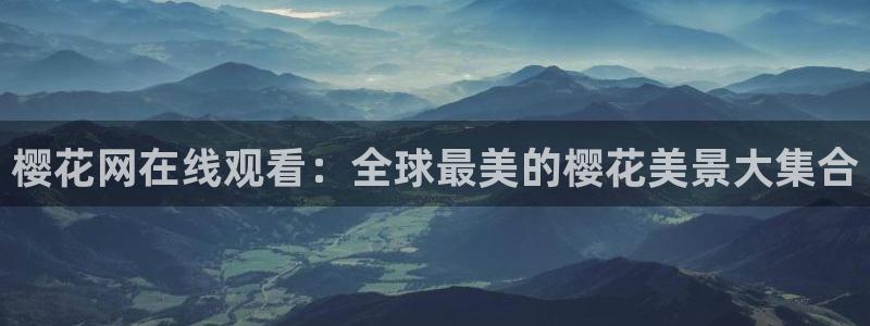 星空视频电影在线看免费观看