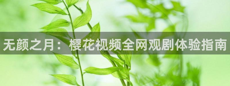星空传媒完整免费观看视频
