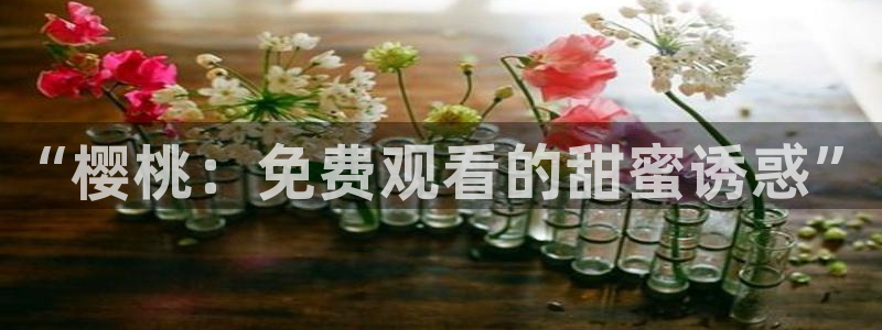 重庆精东影业
