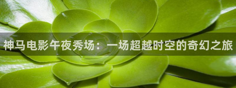 星空盒子影视
