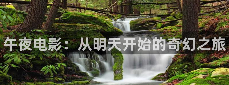 星空传媒在线观看免费高清