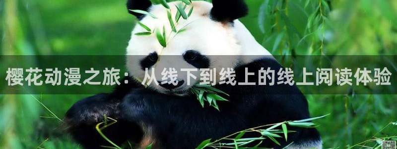 星空影城今天有什么电影