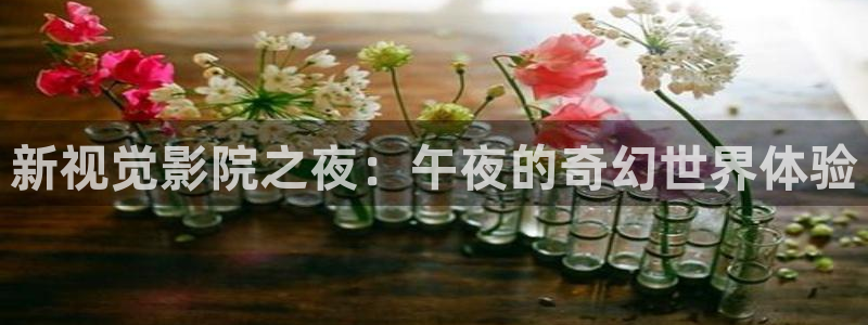 万里归途在线观看高清版策驰星空