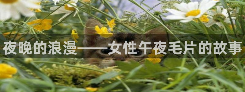 星空电影下载免费下载