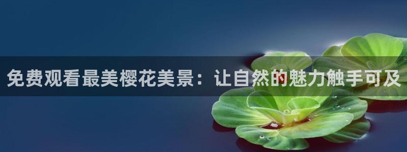 星空传媒影院免费电视剧