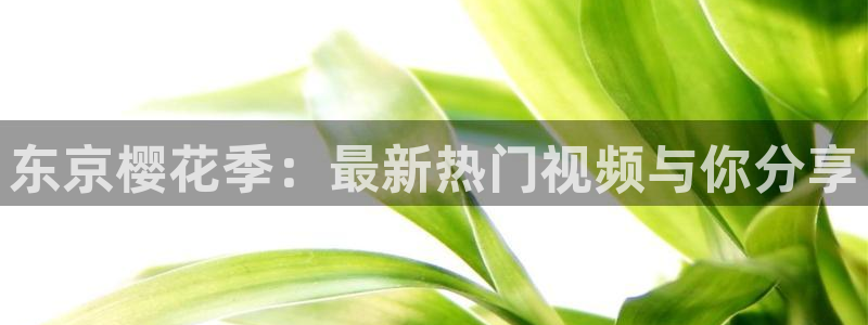 精东影业星辰影院