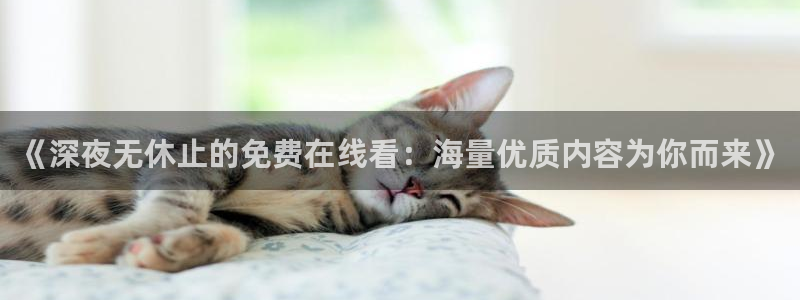 精东影业免费看电视
