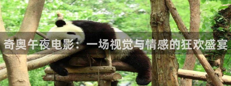 星空影业有限公司