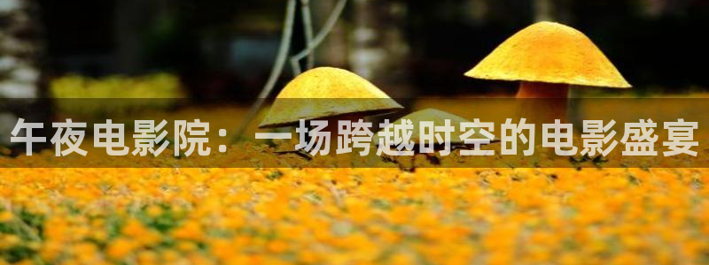 星空在线观看免费高清电视