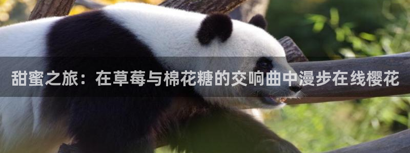 精东影业免费高清视频