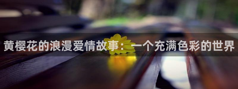 星空视频网站