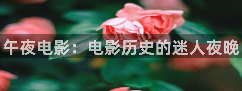 精东影业在线观看免费完整版高清