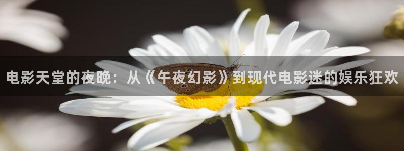 星空影视网下载app