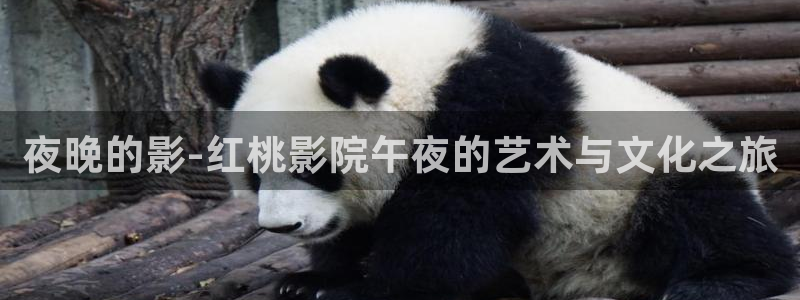 亚洲一区二区星空传媒影院