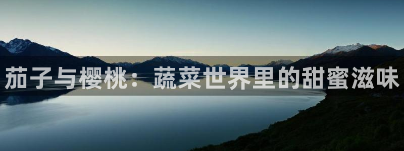 富县精东影业今日影讯