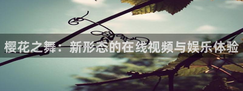 伦理片精东影业