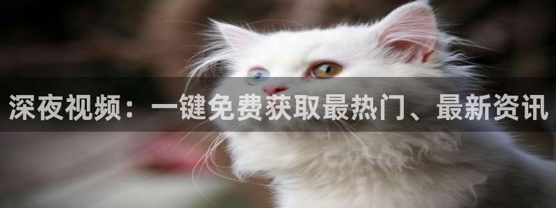 星空影视 中国