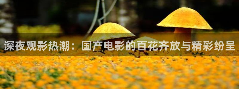 星空电影高清免费完整版观看