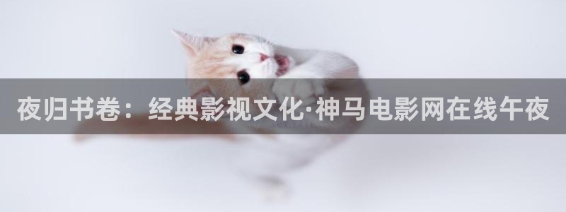 星空无限传媒高清电视剧在线观看