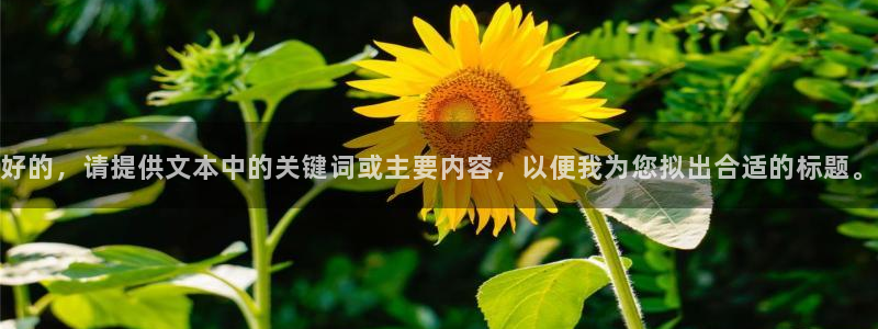 星空免费影院