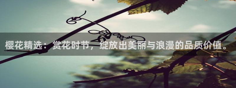 星空的图片大全