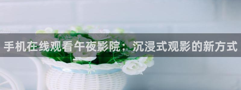 那片星空那片海回声