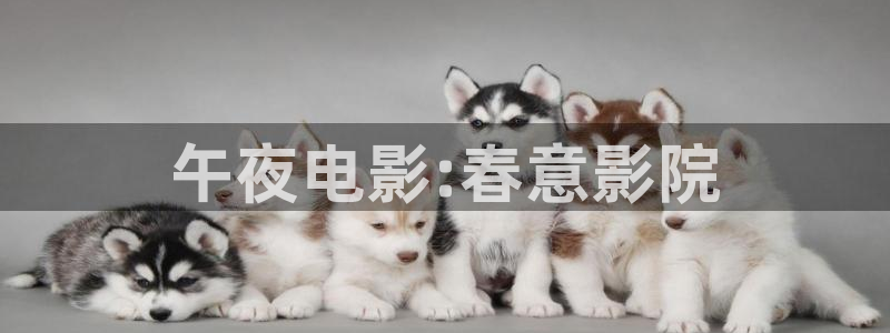 精东影业免费看电视剧大全