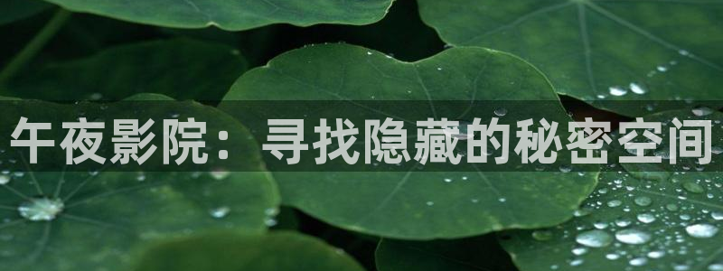星空影视在线免费观看电影