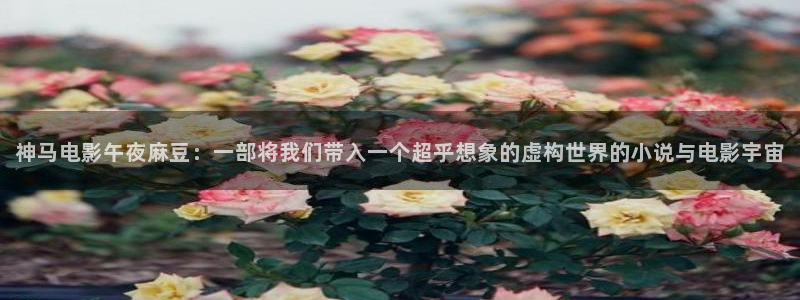 精东影业免费看电视剧柳舟记