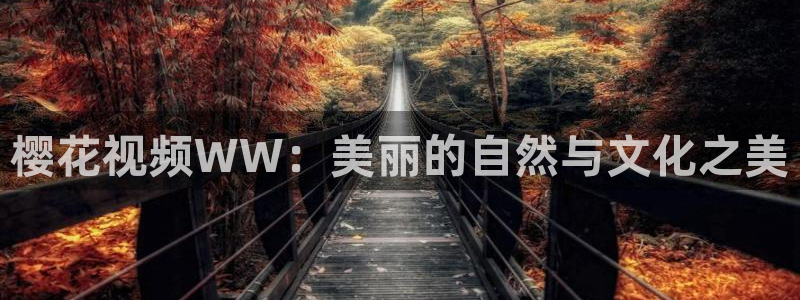 那片星空那片海回声